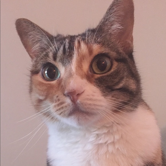 Meet your Posher, Kristen - Picture 2 of 3